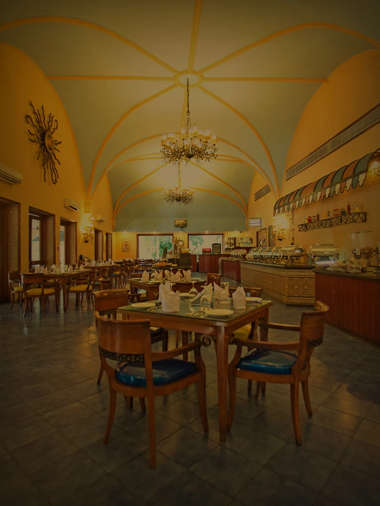 A World of Culinary Delights Awaits