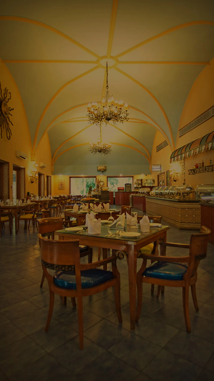 A World of Culinary Delights Awaits